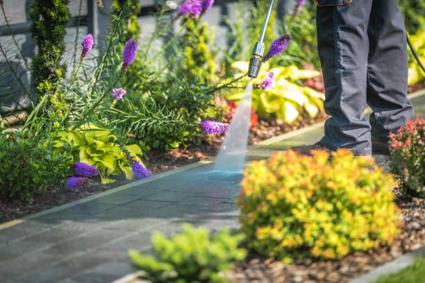 Best Fence Cleaning  in Jesup, GA