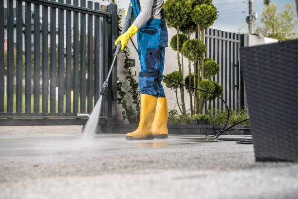 Best Rust Removal  in Jesup, GA