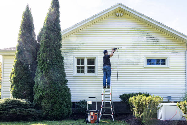 Best Building Exterior Washing  in Jesup, GA